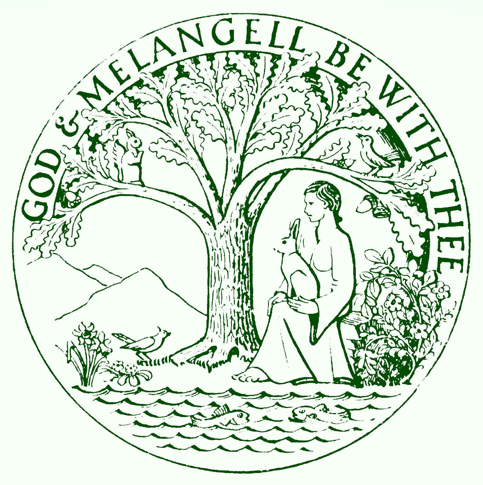 Montgomeryshire Field Society